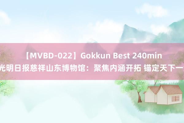 【MVBD-022】Gokkun Best 240min. 光明日报慈祥山东博物馆：聚焦内涵开拓 锚定天下一流