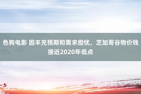 色狗电影 因丰充预期和需求担忧，芝加哥谷物价钱接近2020年低点