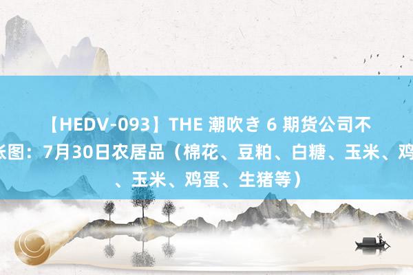 【HEDV-093】THE 潮吹き 6 期货公司不雅点汇总一张图：7月30日农居品（棉花、豆粕、白糖、玉米、鸡蛋、生猪等）