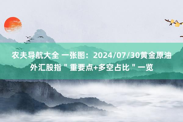 农夫导航大全 一张图：2024/07/30黄金原油外汇股指＂重要点+多空占比＂一览