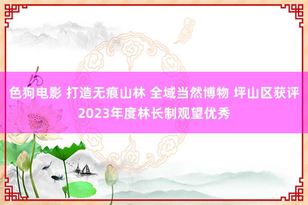 色狗电影 打造无痕山林 全域当然博物 坪山区获评2023年度林长制观望优秀