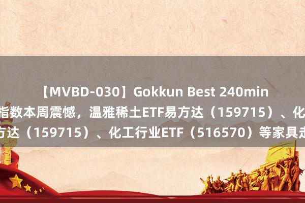 【MVBD-030】Gokkun Best 240min. 総勢12名 稀缺资源主题指数本周震憾，温雅稀土ETF易方达（159715）、化工行业ETF（516570）等家具走势