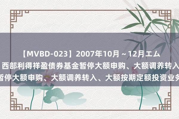 【MVBD-023】2007年10月～12月エムズBEST4時間 公告速递：西部利得祥盈债券基金暂停大额申购、大额调养转入、大额按期定额投资业务