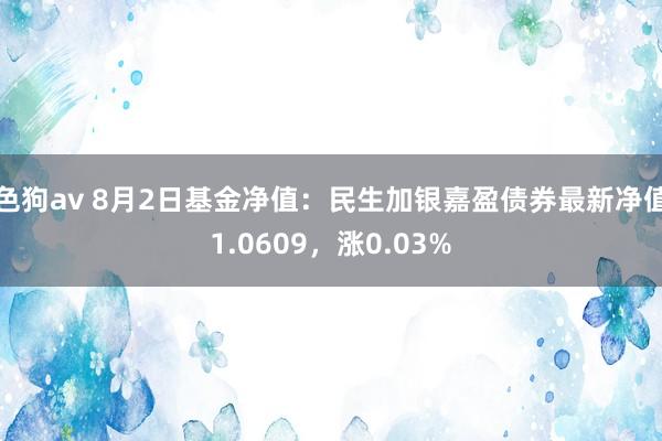 色狗av 8月2日基金净值：民生加银嘉盈债券最新净值1.0609，涨0.03%