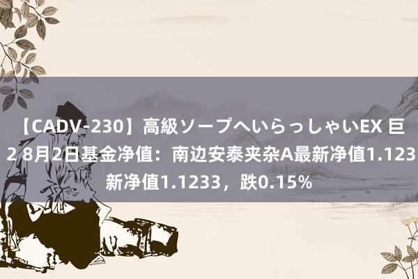 【CADV-230】高級ソープへいらっしゃいEX 巨乳限定4時間 2 8月2日基金净值：南边安泰夹杂A最新净值1.1233，跌0.15%