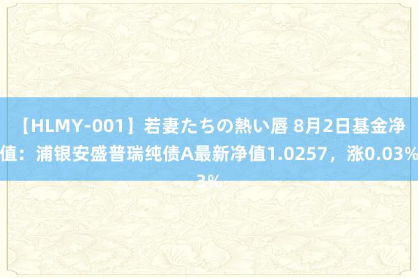 【HLMY-001】若妻たちの熱い唇 8月2日基金净值：浦银安盛普瑞纯债A最新净值1.0257，涨0.03%