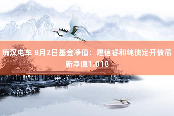 痴汉电车 8月2日基金净值：建信睿和纯债定开债最新净值1.018