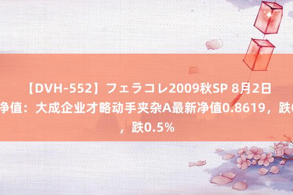 【DVH-552】フェラコレ2009秋SP 8月2日基金净值：大成企业才略动手夹杂A最新净值0.8619，跌0.5%