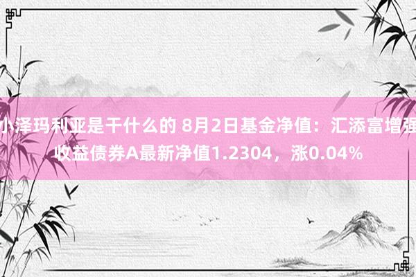 小泽玛利亚是干什么的 8月2日基金净值：汇添富增强收益债券A最新净值1.2304，涨0.04%