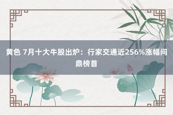 黄色 7月十大牛股出炉：行家交通近256%涨幅问鼎榜首