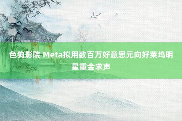 色狗影院 Meta拟用数百万好意思元向好莱坞明星重金求声