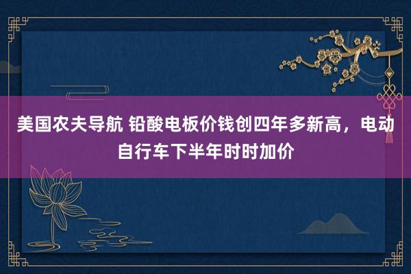 美国农夫导航 铅酸电板价钱创四年多新高，电动自行车下半年时时加价