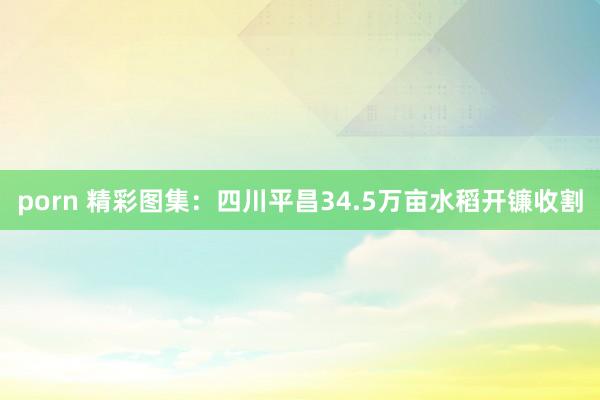 porn 精彩图集：四川平昌34.5万亩水稻开镰收割