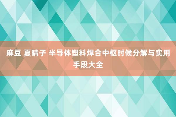 麻豆 夏晴子 半导体塑料焊合中枢时候分解与实用手段大全