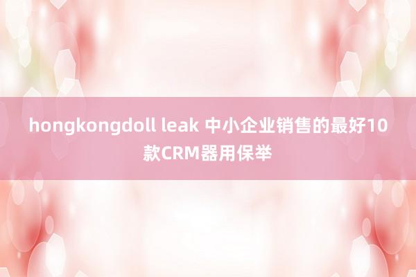 hongkongdoll leak 中小企业销售的最好10款CRM器用保举