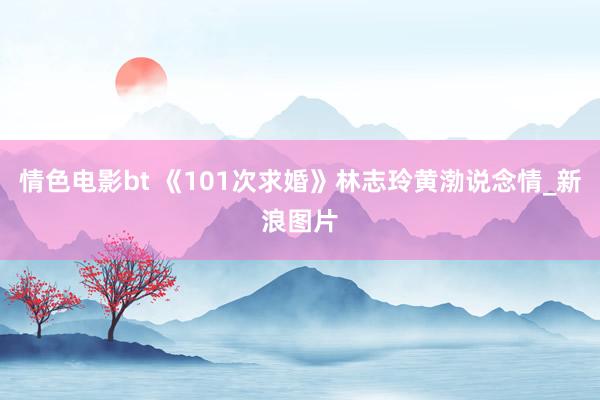 情色电影bt 《101次求婚》林志玲黄渤说念情_新浪图片