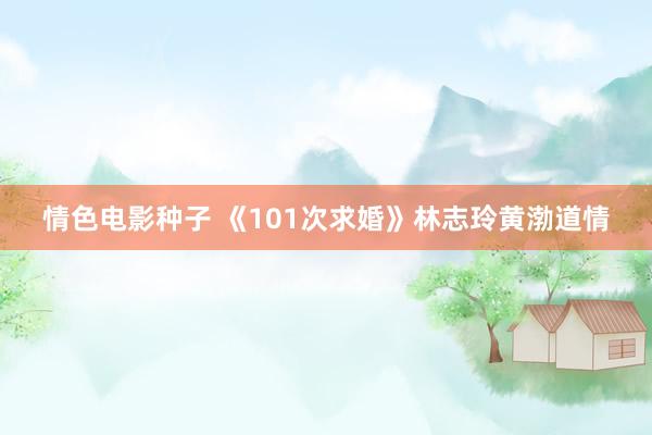 情色电影种子 《101次求婚》林志玲黄渤道情