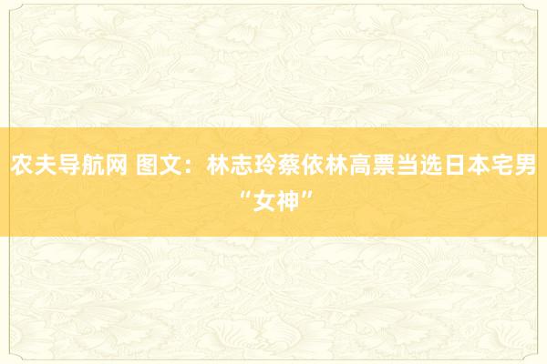 农夫导航网 图文：林志玲蔡依林高票当选日本宅男“女神”