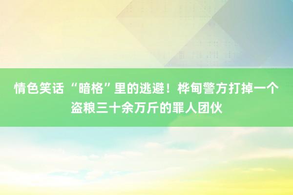 情色笑话 “暗格”里的逃避！桦甸警方打掉一个盗粮三十余万斤的罪人团伙