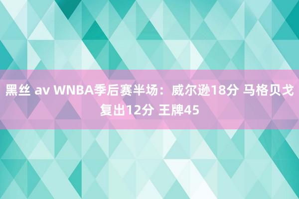 黑丝 av WNBA季后赛半场：威尔逊18分 马格贝戈复出12分 王牌45