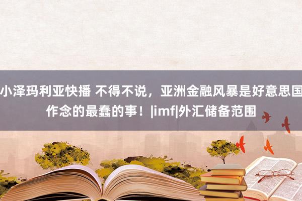 小泽玛利亚快播 不得不说，亚洲金融风暴是好意思国作念的最蠢的事！|imf|外汇储备范围