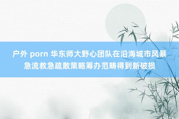 户外 porn 华东师大野心团队在沿海城市风暴急流救急疏散策略筹办范畴得到新破损